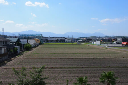 事務所からの風景