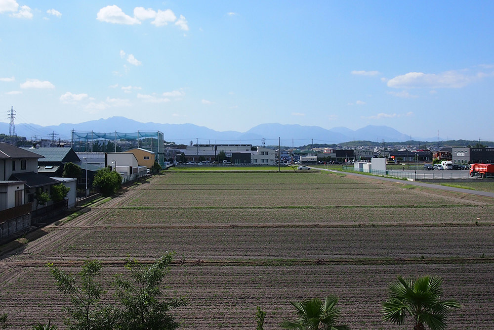事務所からの風景